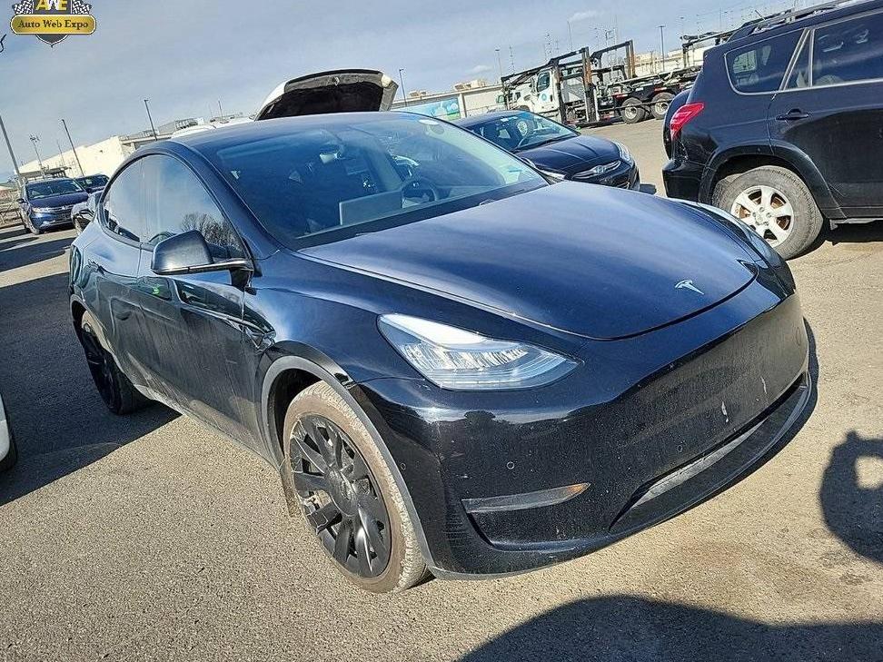 TESLA MODEL Y 2020 5YJYGDEE2LF033775 image